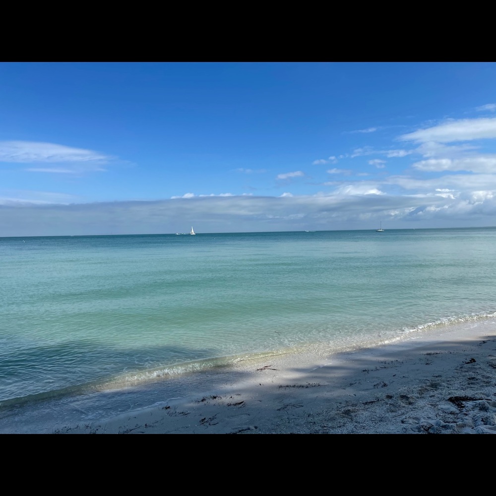 Meet your Posher, Gabrielle